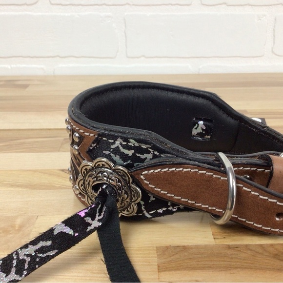 Mad Cow genuine leather western dog collar handmade brown black studded silver - Picture 3 of 16